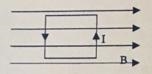 A counterclockwise current flows in a rectangular loop of wire in a uniform magnetic-example-1