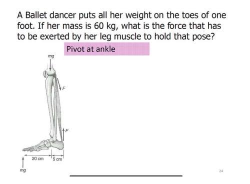 Nowdothesameproblemwiththepivotatthe toes. A Ballet dancer puts all her weight on-example-1