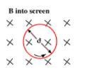 You are looking down on a N = 17 turn coil in a magnetic field B = 0.5 T which points-example-1