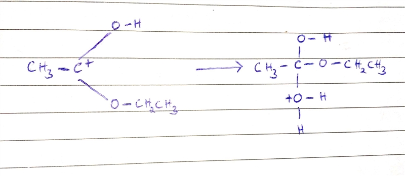 Describe the acid-catalyzed second slow step in the hydrolysis of an ester.-example-1