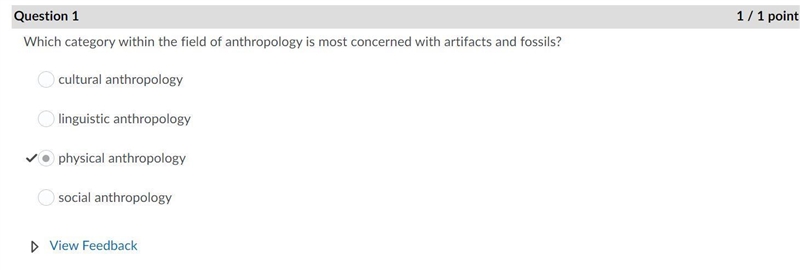 Which category within the field of anthropology is most concerned with artifacts and-example-1