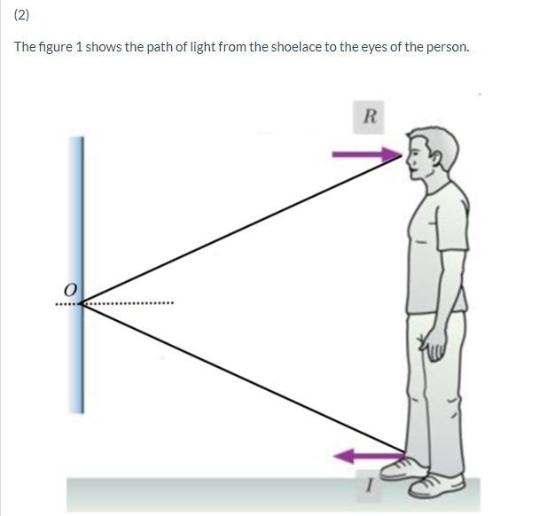 Vittorio would like to be able to see the logo on his shirt. Draw the incident and-example-2