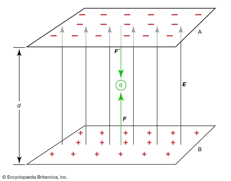 Plz help asap. 1. Describe the methods by which an electric potential develops in-example-1