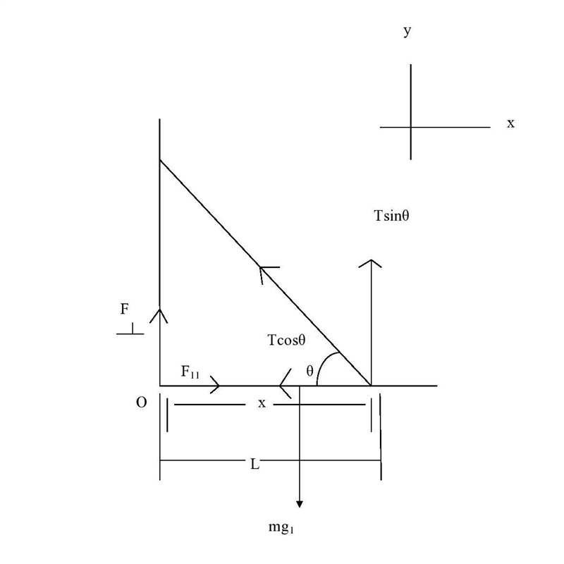 A uniform horizontal shelf of width L and mass m is held to a wall by a frictionless-example-1