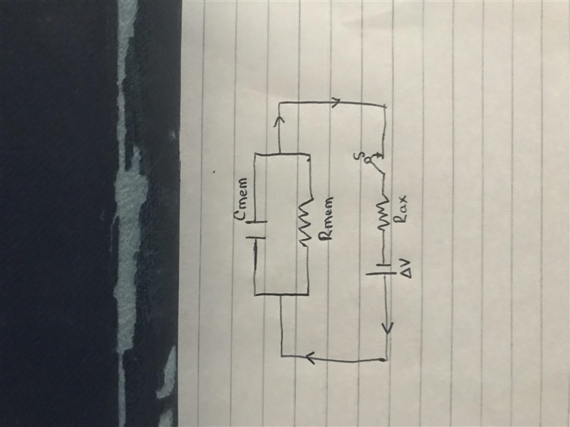 The axoplasm of an axon has a resistance Rax. The axon's membrane has both a resistance-example-1