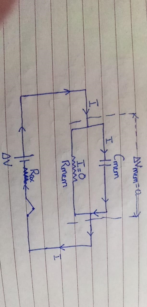 Potential Difference Across Axon Membrane The axoplasm of an axon has a resistance-example-1