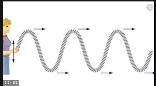 Water waves are waves because the wave moves up and down. transverse longitudinal-example-1