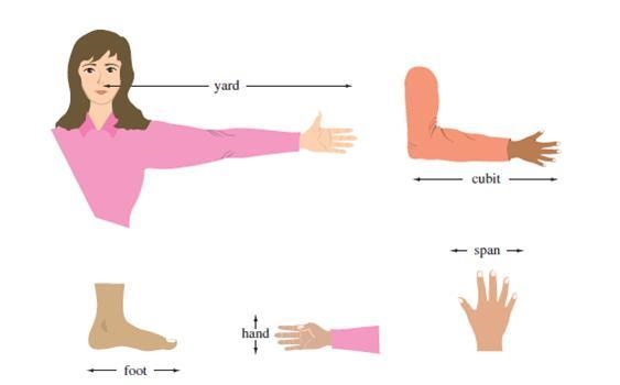 What is the definition of Cubit-example-1