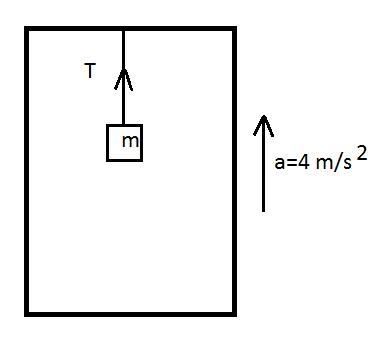 A 5 kg mass is attached to the ceiling of an elevator by a rope whose mass is negligible-example-1