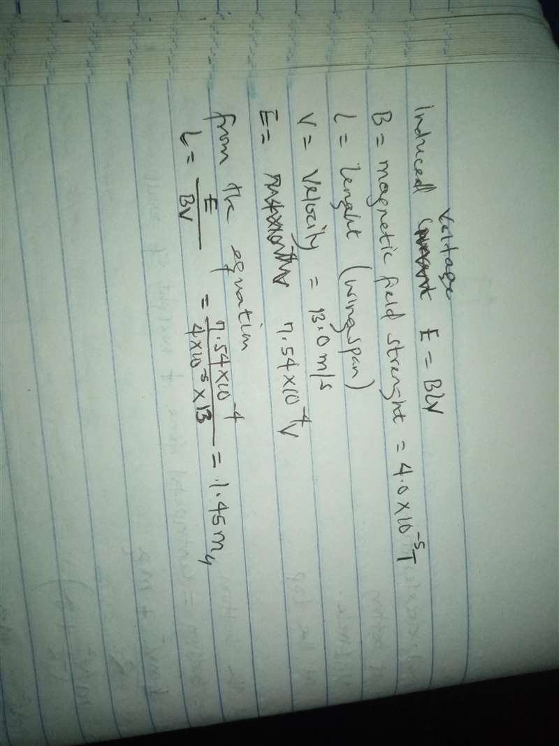 To check this out, you estimate that the induced voltage across a wild goose's wingtips-example-1