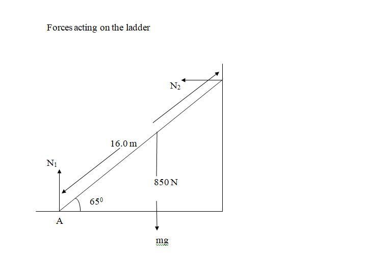 A 16.0-m uniform ladder weighing 520 N rests against a frictionless wall. The ladder-example-1