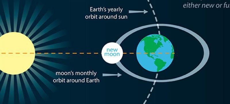 which description best tells how the arrangement of the sun, moon, and earth affect-example-1