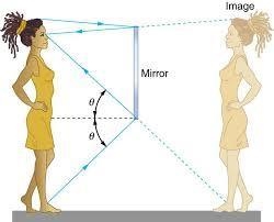 An extraterrestrial creature is standing in front of plane mirror. The height of this-example-1