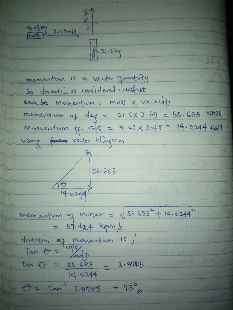 A 21.5 kg dog is running northward at 2.59 m/s, while a 4.03 kg cat is running eastward-example-1