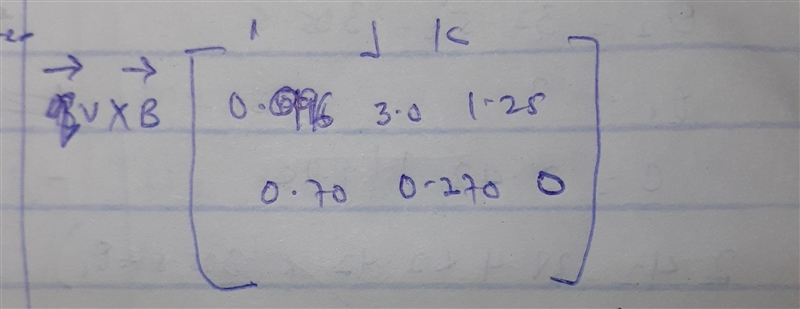 The magnetic field in a region is given by B = (0.750 + 0.270) T. At some instant-example-1