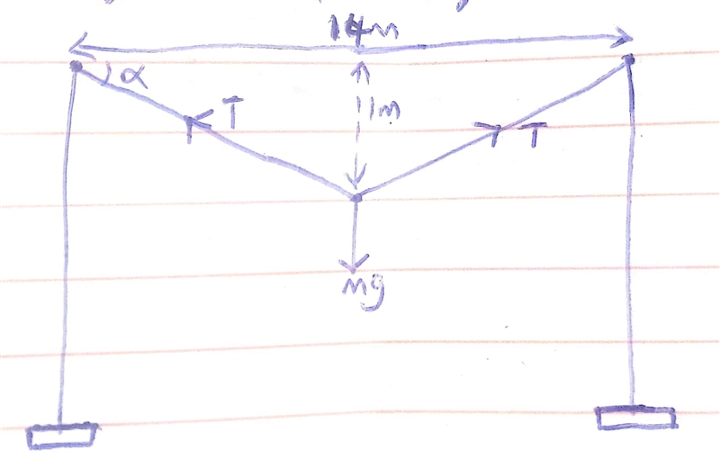 horizontal clothesline is tied between 2 poles, 14 meters apart. When a mass of 3 kilograms-example-1