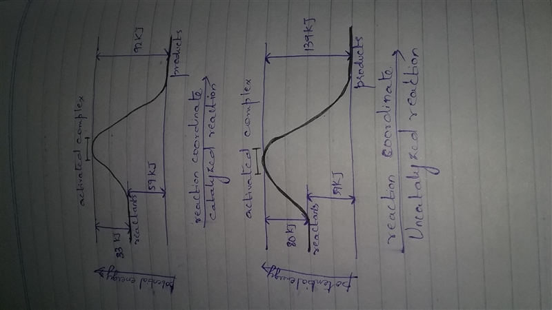 A catalyst decreases the activation energy of a particular exothermic reaction by-example-1