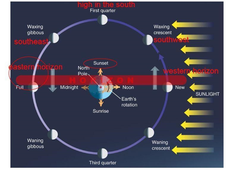 Identify the phases of the Moon if at sunset in the Northern Hemisphere the Moon is-example-1