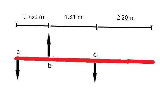 A vaulter holds a 26.90-N pole in equilibrium by exerting an upward force U with her-example-1