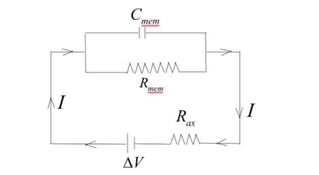 Potential Difference Across Axon Membrane The axoplasm of an axon has a resistance-example-1