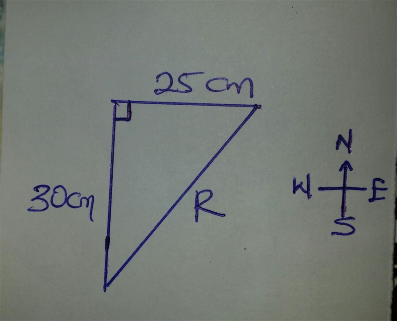 An ant on a picnic table travels 30 cm northward, then 25 cm eastward. What is the-example-1