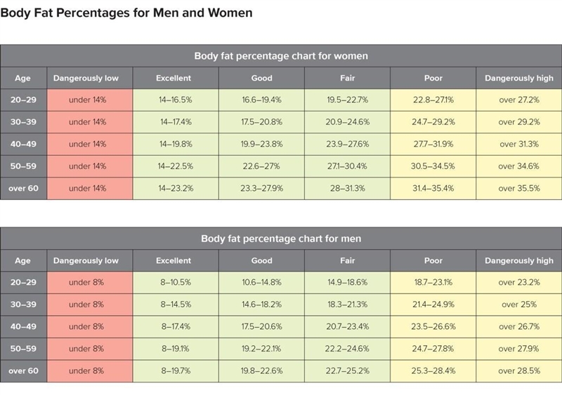 Create a body composition and agility chart. PLEASE HELP And also help me with my-example-1