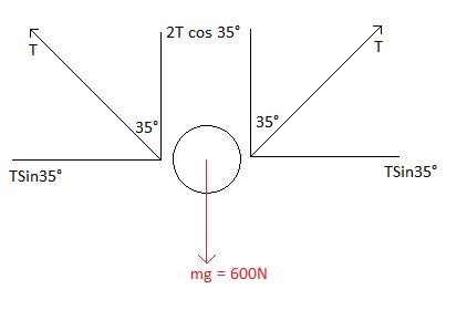 A monkey weighs 6.00 x 102 N and swings from vine to vine. As the monkey grabs a new-example-1