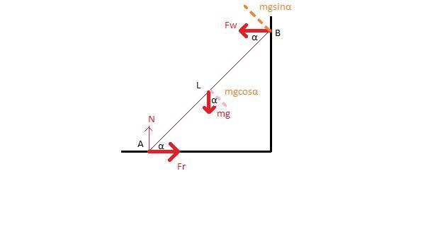 A uniform ladder of mass m and length L stands on a floor at angle α, leaning against-example-1