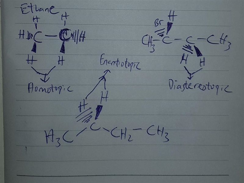 Give the relationship(s) for any pair of protons with the proper term(s). Label – your-example-1