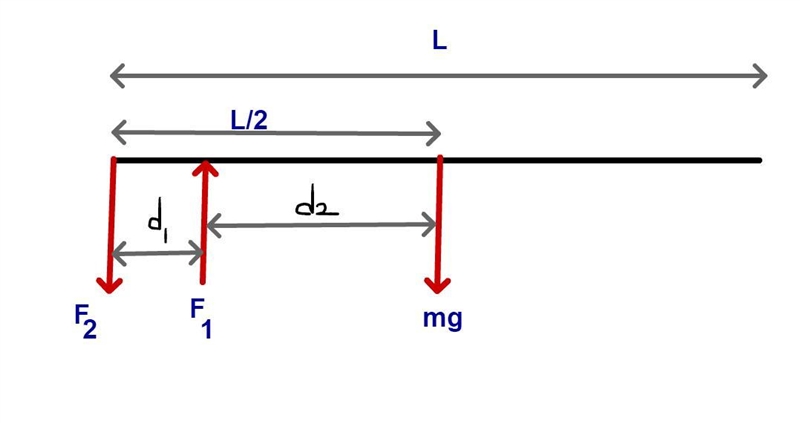 URGENTLY NEED HELP WITH PHYSICS? A vaulter is holding a horizontal 3.00-kg pole, 4.50 m-example-1