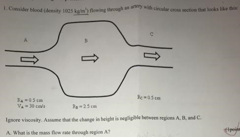 Consider blood (density 1025 kg/m3) flowing through an artery with circular cross-example-1