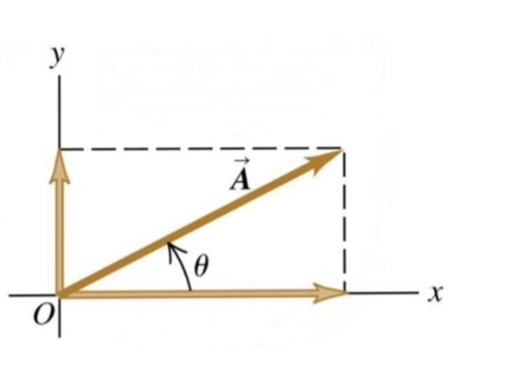 Vector vector A has a magnitude A and is directed at an angle theta measured with-example-1