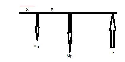 A 60-kg uniform board 2.4 m long is supported by a pivot 80 cm from the left end and-example-1