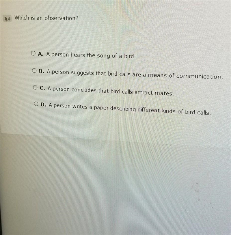 1pt Which is an observation? O A. A person hears the song of a bird. OB. A person-example-1