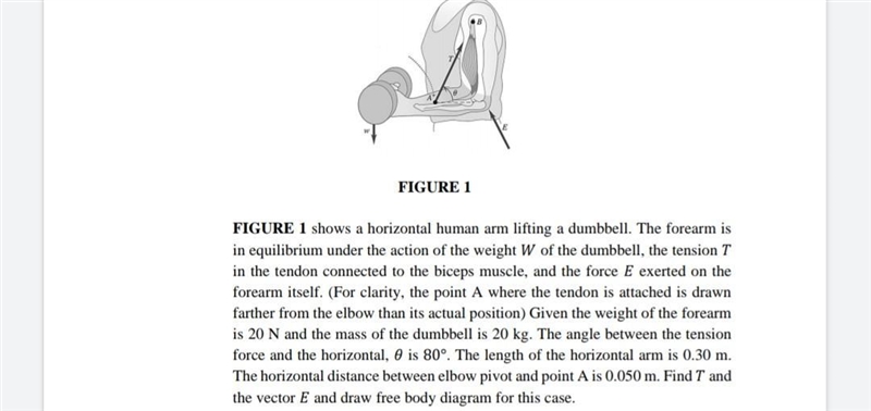 FIGURE 1 shows a horizontal human arm lifting a dumbbell. The forearm is in equilibrium-example-1