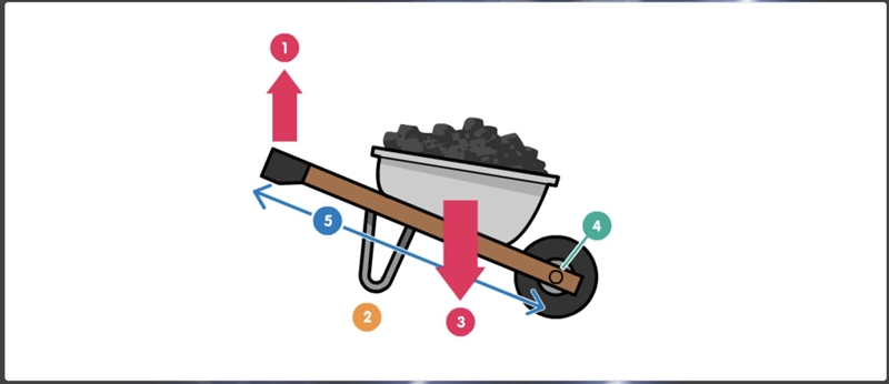 Help PLZZZZ! Look at the diagram of the wheelbarrow below. Which label shows the force-example-1