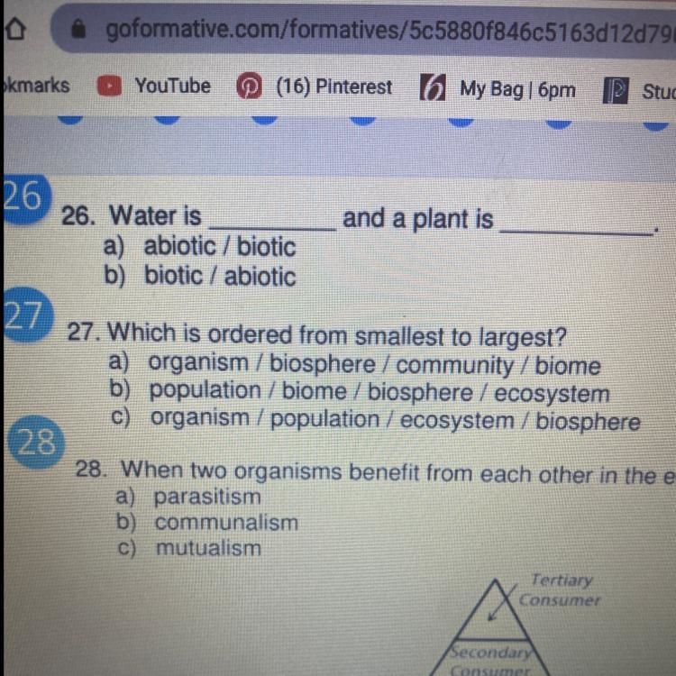 Can u pls answer number 27???-example-1