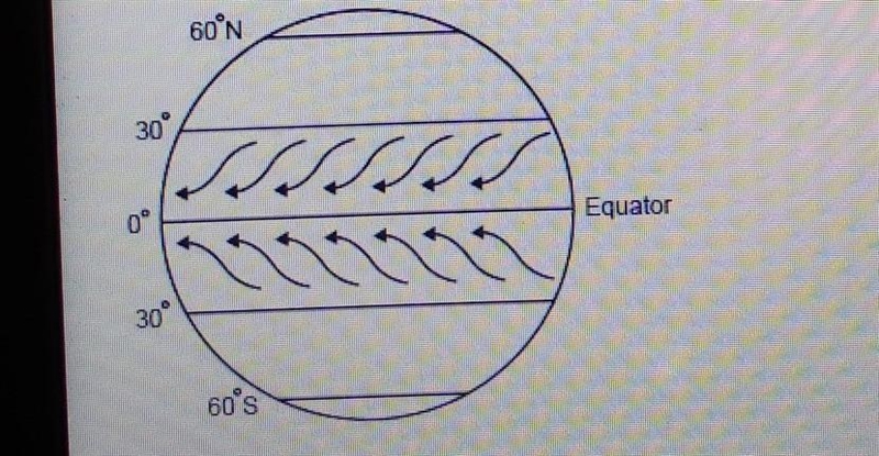 The image blow shows a certain type of global wind: What best describes these winds-example-1