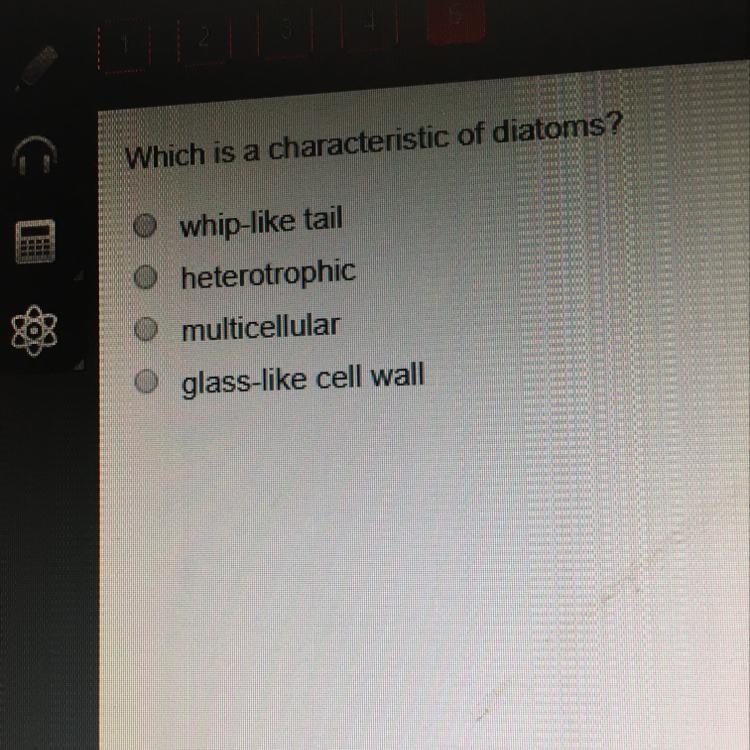 Which is a characteristic of diatoms? A)whip-like tail B)heterotrophic C)multicellular-example-1