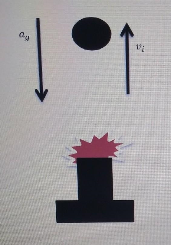 A cannon is fired straight up into the air. If the cannon ball comes back down to-example-1