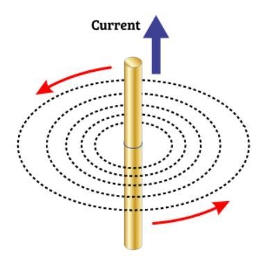 When current flows through this wire, what forms around the wire?(20 points)-example-1