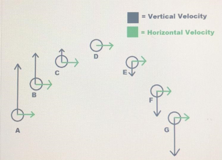 The picture below shows the trajectory of a projectile in motion. The green arrow-example-1