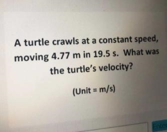 What's the turtle's velocity??-example-1