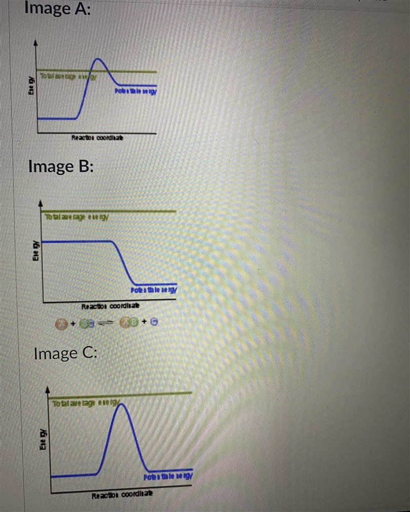 Which image below is the best example of an exothermic reaction?-example-1