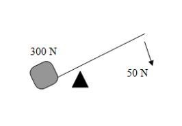 Calculate the mechanical advantage of a lever that is able to lift 300 N rock with-example-1