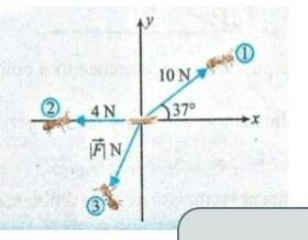 Q3. Three ants 1, 2 and 3 are pulling a grain with forces of magnitude 10 N, 4 N and-example-1