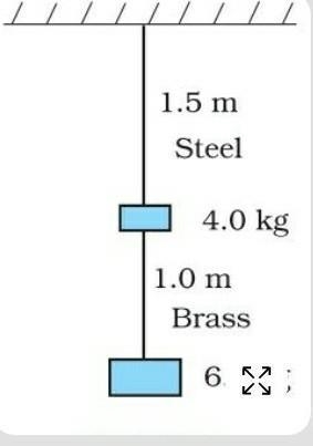 Two wires of diameter 0.25 cm, one made of steel and the other made of brass are loaded-example-1