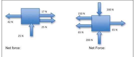 Please help me very urgent :(( What is the net force (including direction and magnitude-example-1