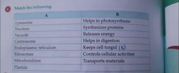 Plz help me find the answers-example-1