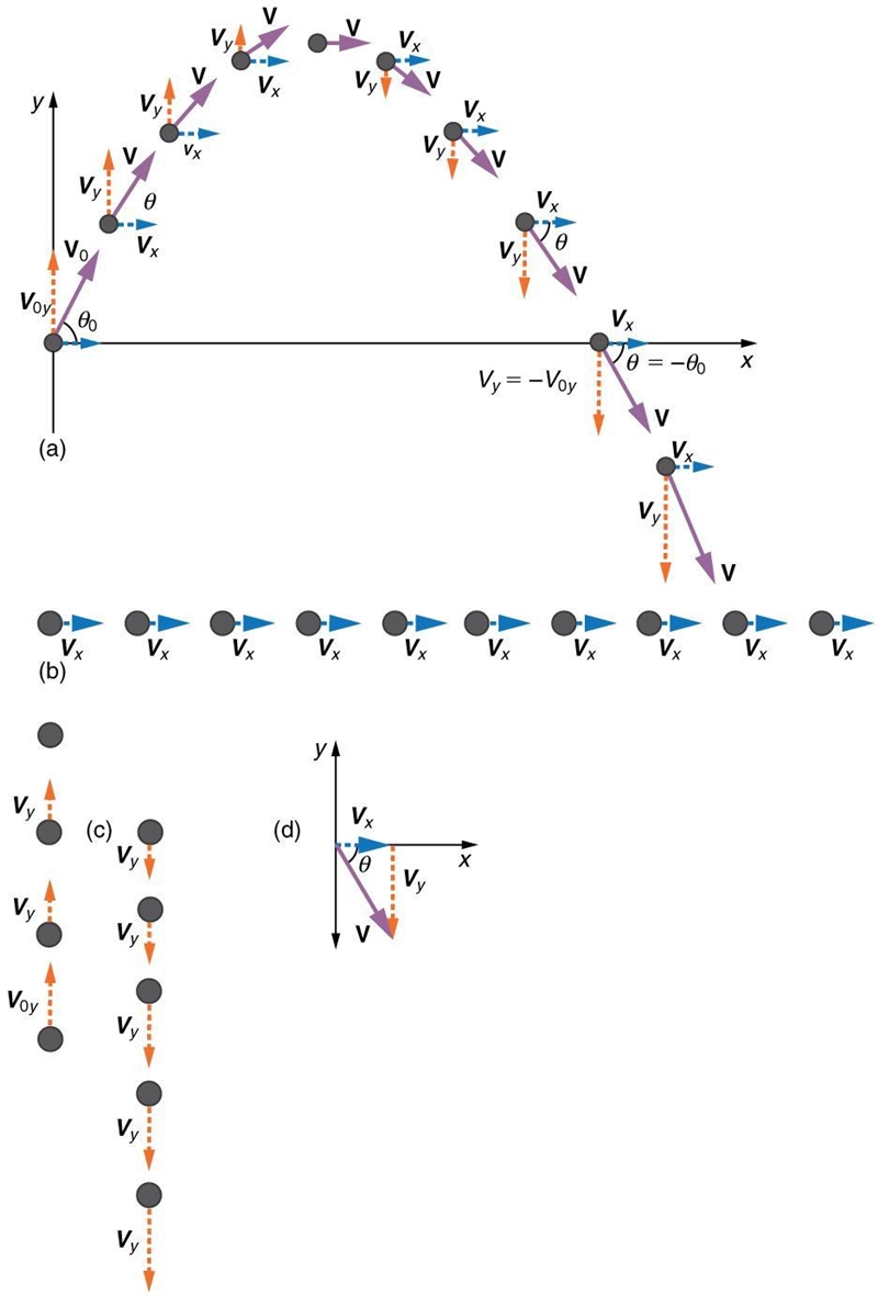 A physics student tossed a ball vertically straight upward. Describe the magnitude-example-1